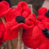 Knitted poppies
