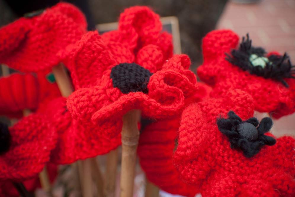 Knitted poppies